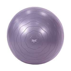 Bola De Ejercicio 55cm Everlast