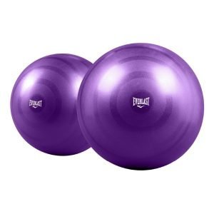 Bola De Ejercicio Gimnasia/yoga Everlast